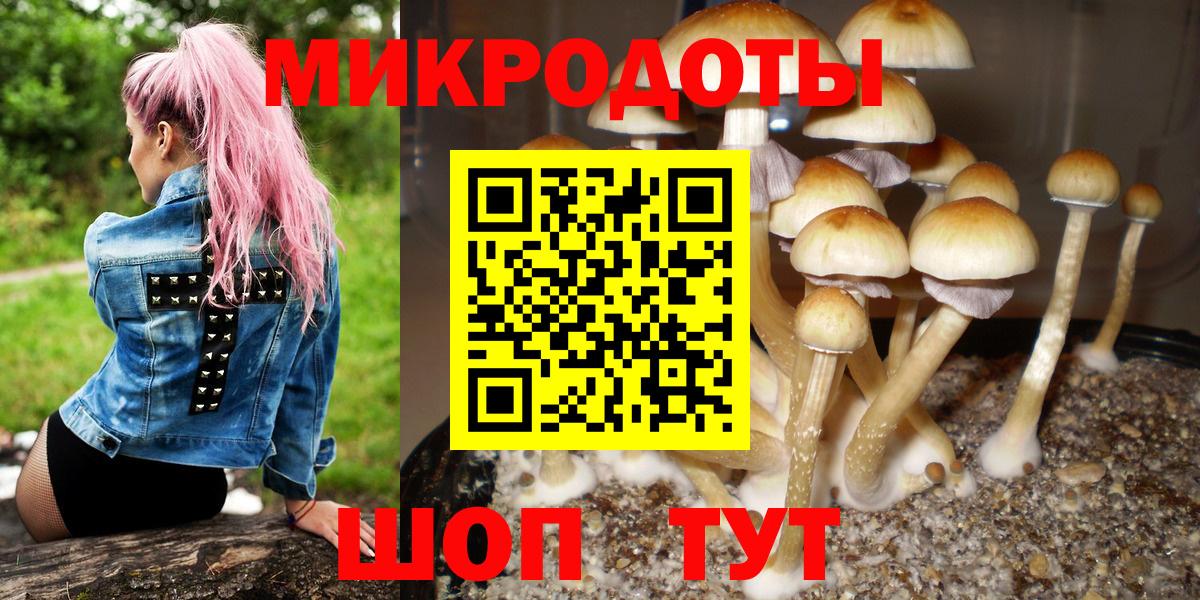 Галлюциногенные грибы Psilocybe  Псилоцибиновые грибы Cubensis  Стрежевой  Вход с VPN 